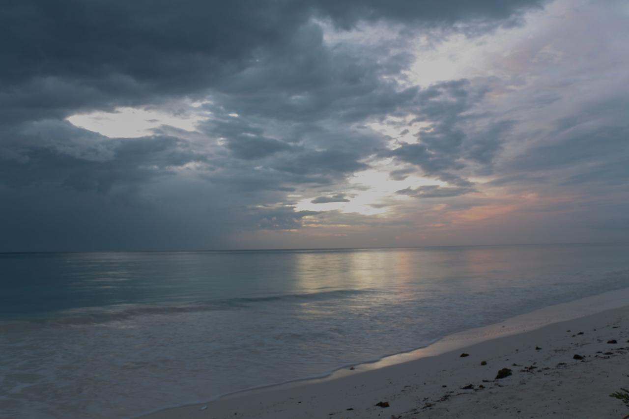 African Sun Sea Beach Resort & Spa Zanzibar المظهر الخارجي الصورة