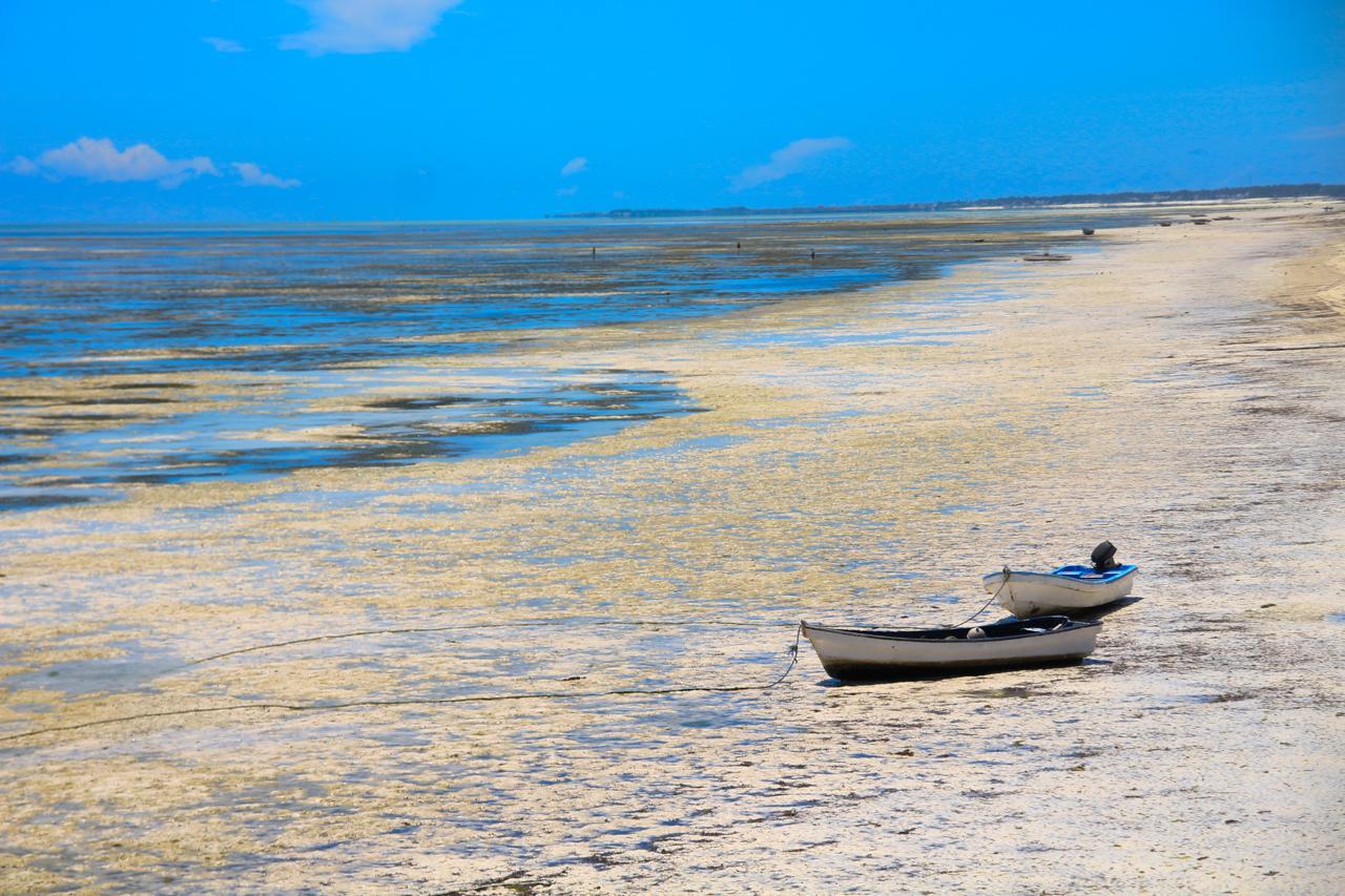 African Sun Sea Beach Resort & Spa Zanzibar المظهر الخارجي الصورة